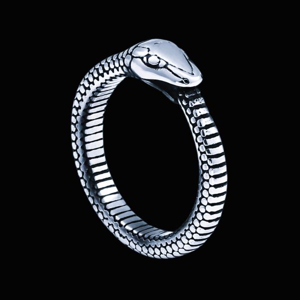 Bague anneau serpent viking Ouroboros argent