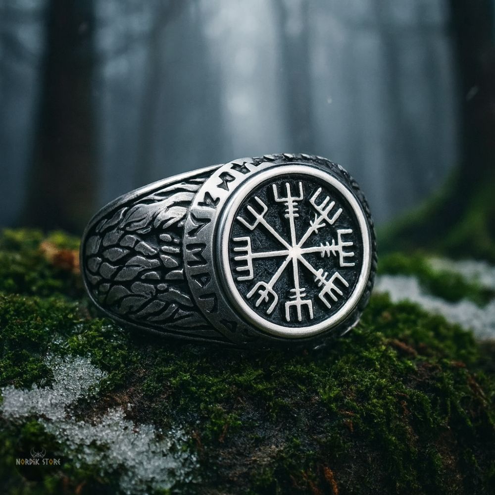 bague runique Vegvisir en acier argent, cadeau