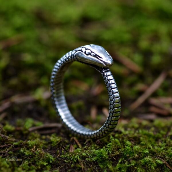 bague serpent viking Ouroboros cadeau homme ou femme