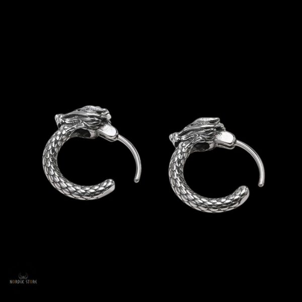 boucles d’oreilles dragon Ouroboros en acier, cadeau