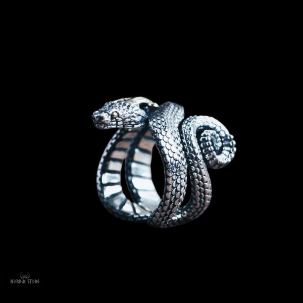 bague serpent viking Ouroboros en argent  925, cadeau femme homme ou ados