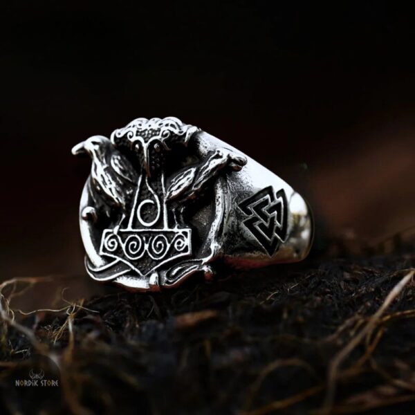 Bague viking Ragnar Lotbrok en acier argent, cadeau homme