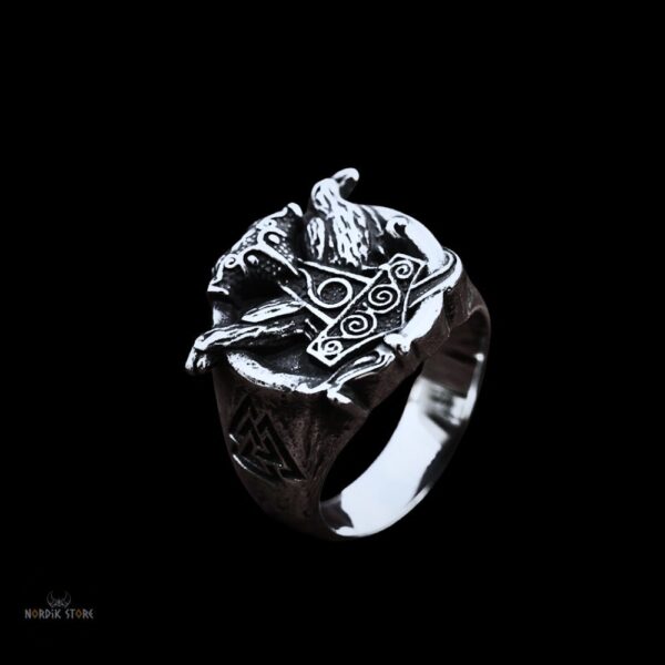 Bague viking Ragnar Lotbrok en acier, cadeau homme adolescent pour Noel, anniversaire