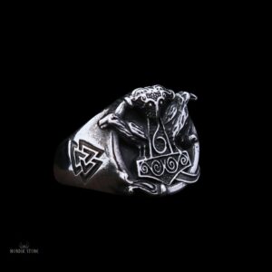 Bague viking Ragnar Lotbrok en acier, cadeau homme pour Noel, anniversaire