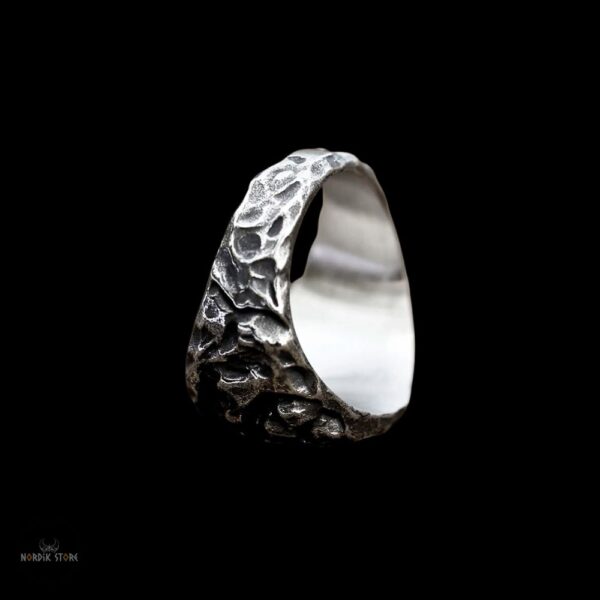 bague viking le chemin du Vegvisir en acier inoxydable, cadeau homme et ados