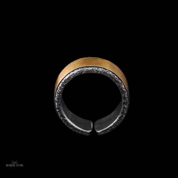Bague Viking "Sang de Fer" en acier, cadeau homme et ados