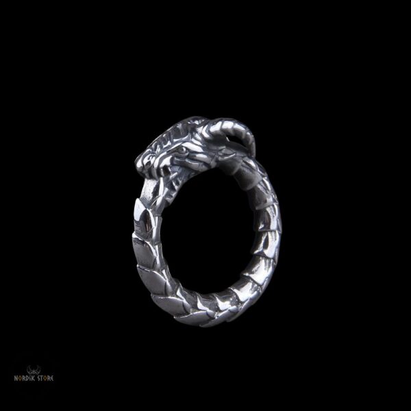 Bague Viking Ouroboros Éternel – Image 4