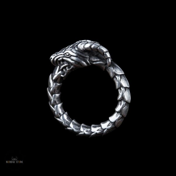 Bague Viking Ouroboros Éternel – Image 2