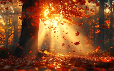 Mabon – L’Équinoxe de l’Automne et Ses Secrets